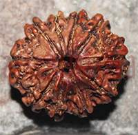 10 mukhi 47- 24x20x16